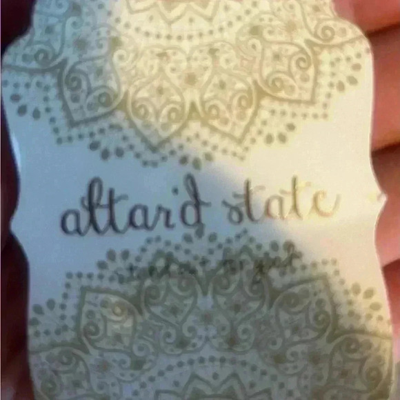 NWT-Crop top- altar’d state - Picture 4 of 4